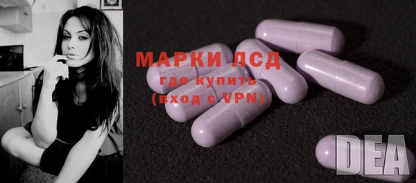 стаф Абинск