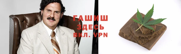 стаф Абинск