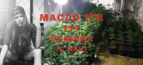 стаф Абинск