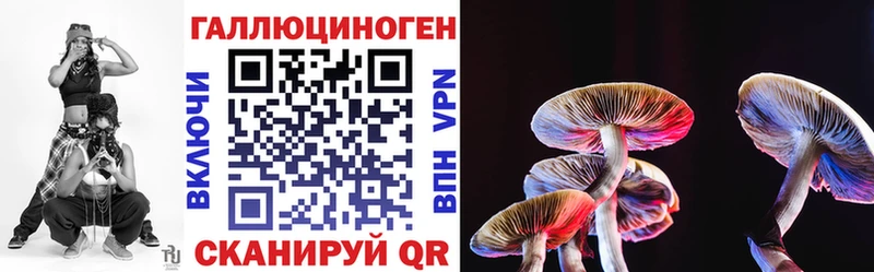 OMG ССЫЛКА  маркетплейс клад  Галлюциногенные грибы прущие грибы  Александров 